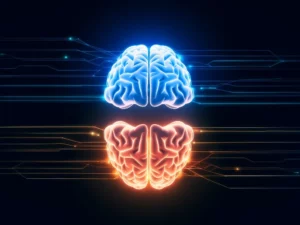 From Neuroscience to AI: The Rise of the Hierarchical Reasoning Model